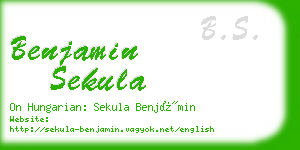 benjamin sekula business card